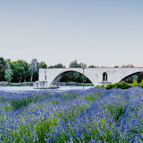 Take the scenic drive to Avignon – just forty-minutes away