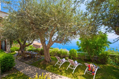 Take a book off the shelf and read beneath the dappled light in your leafy garden