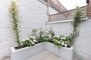 Sunny in Chelsea image 10