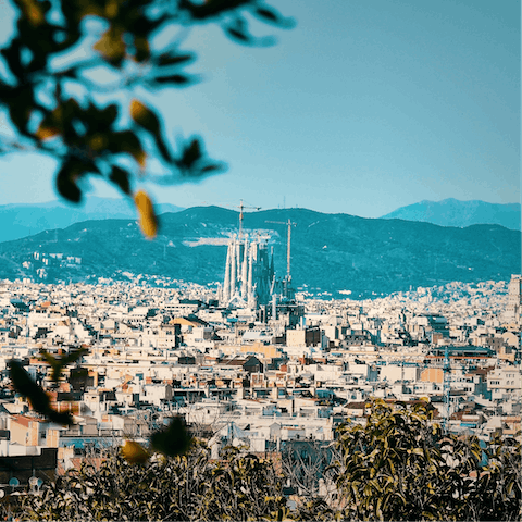 Explore the city from your excellent location in the bustling Eixample neighborhood