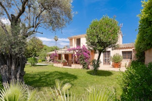 Gleam of Antibes image 9