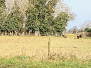 The Manor Abode image 12