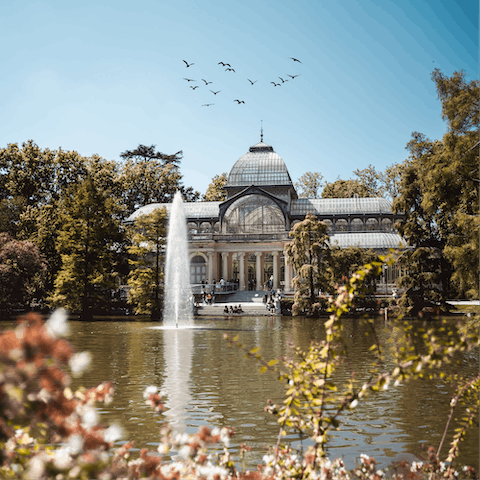 Stroll down to El Retiro Park and visit its monuments, lakes and galleries