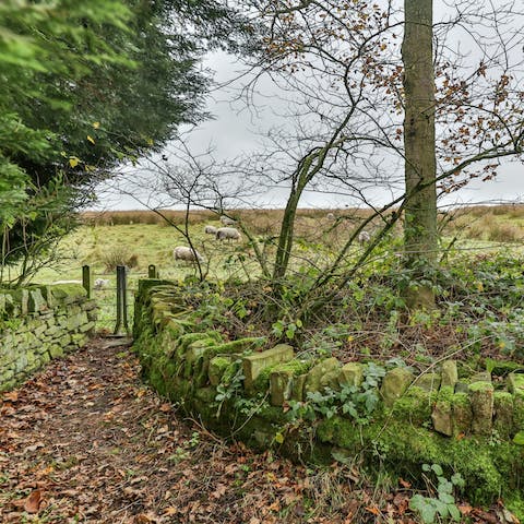 Take your pick from one of the many nearby footpaths