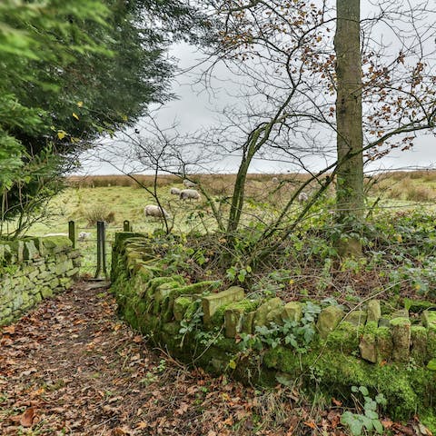 Take your pick from one of the many nearby footpaths 