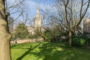 Modish image 7
