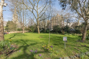 Modish image 6