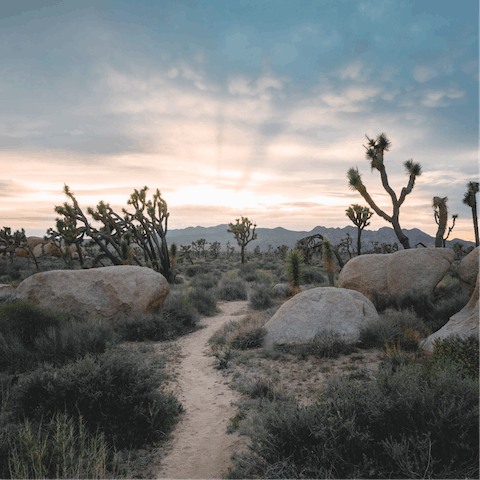 Discover the stunning beauty of Joshua Tree with nine acres of land to yourself and miles of hiking trails