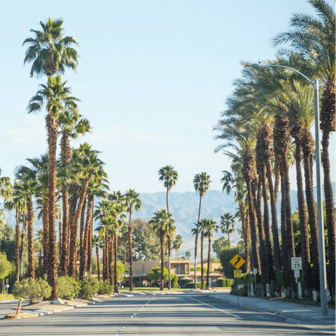 Soak up the unique Palm Springs atmosphere