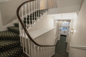 Belgravia Delight image 5