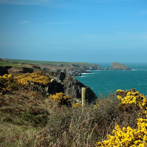 Walk ten minutes to the Pembrokeshire Coastal Footpath and Aberbach beach