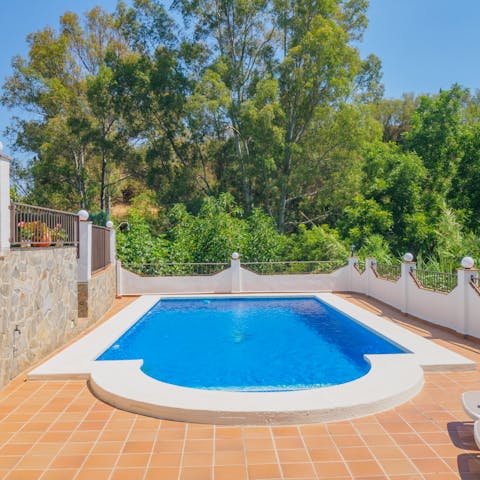 Play games in the home's private swimming pool overlooked by towering trees