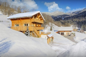 Ski Symphony image 2