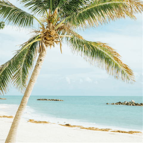 Drive less than ten minutes to Hollywood Beach