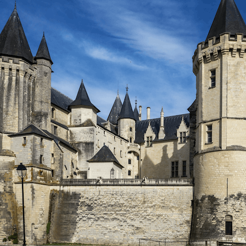 Make the drive over to Saumur and visit the town's grand chateau