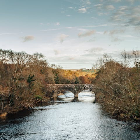 Go on an autumnal stroll along the River Usk or one of its many tributaries