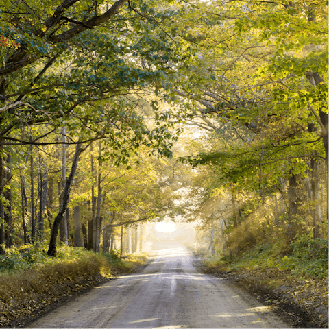 Explore the beautiful Kent countryside by car or on foot