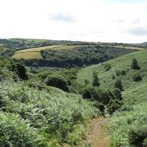 Go for invigorating walks around the Devonshire hills