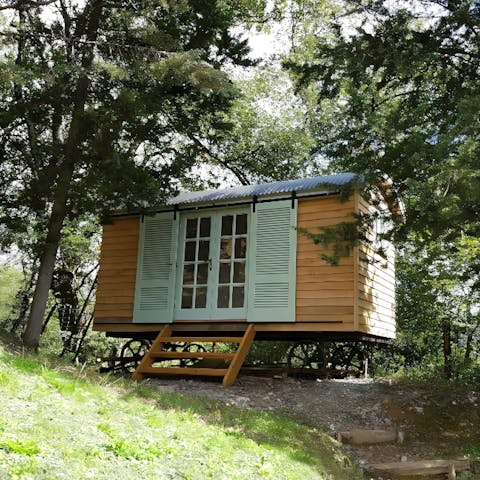 Book the Shepherd's Hut and find a peaceful spot for reflection