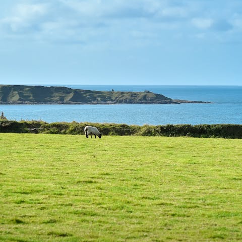 Enjoy crisp mornings and take in your view of the vast Irish Sea, sipping on a nice cup of tea