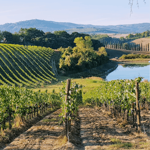 Explore the exquisite Tuscan countryside on its wonderful hiking trails