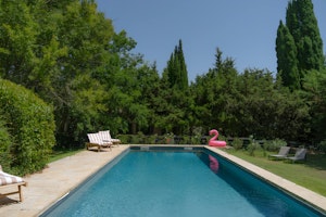 The Painter's Garden image 10