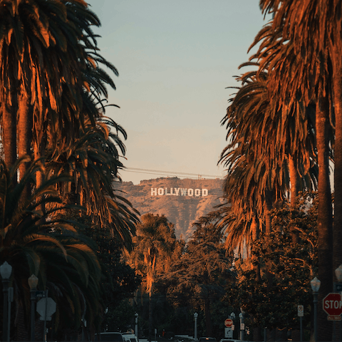 Get out and explore the heavenly Hollywood Hills