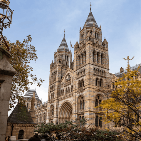 Visit South Kensington's world-class museums, a twenty-minute stroll from your door