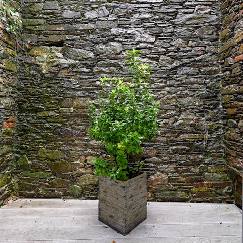 Step out of the kitchen and into the quirky stone-walled courtyard