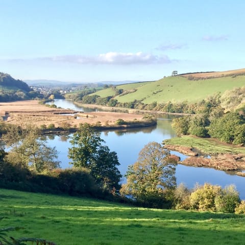 Head out for walks and explore all along the River Dart
