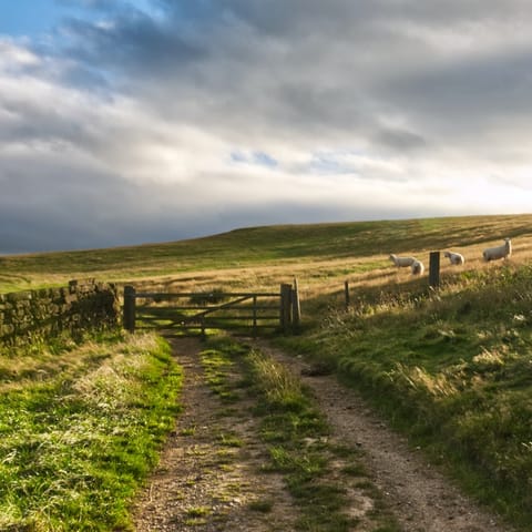 Spend the day exploring the wild beauty of North Yorkshire 