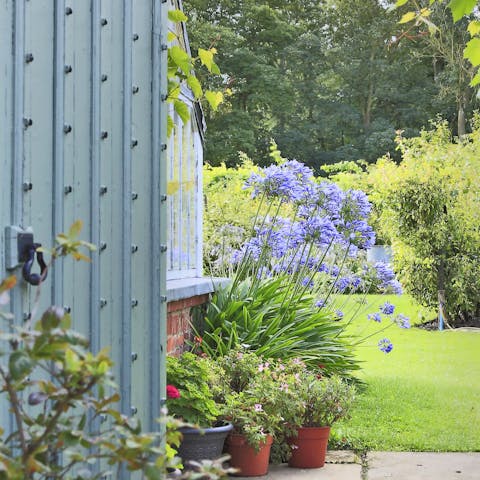 Explore the extensive walled gardens and grounds