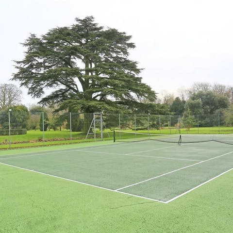 Grab your racket and enjoy your host's all-weather tennis court