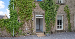 Ivy & Gold image 9