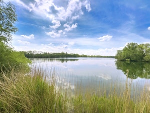 Glistening Lake image 7