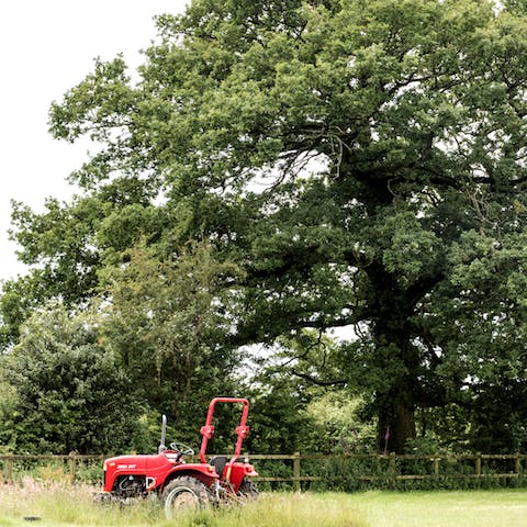 Go out for long walks in the surrounding countryside