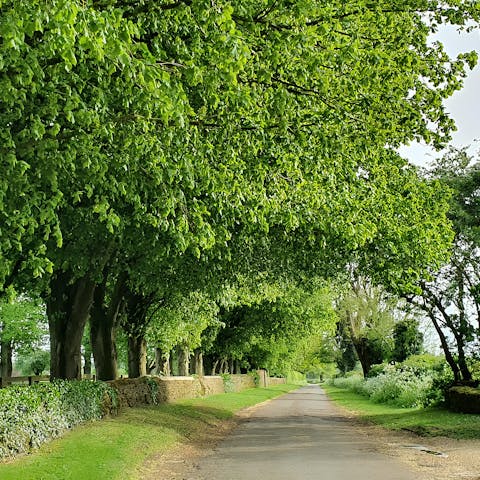 Take the pups on a long walk through Tetbury's countryside