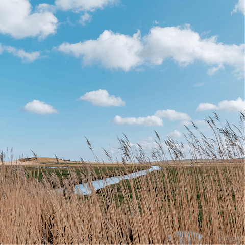 Discover the tranquil beauty of Norfolk 