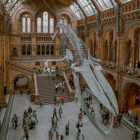 Hop on the District Line at Fulham Broadway station and arrive at the Natural History Museum