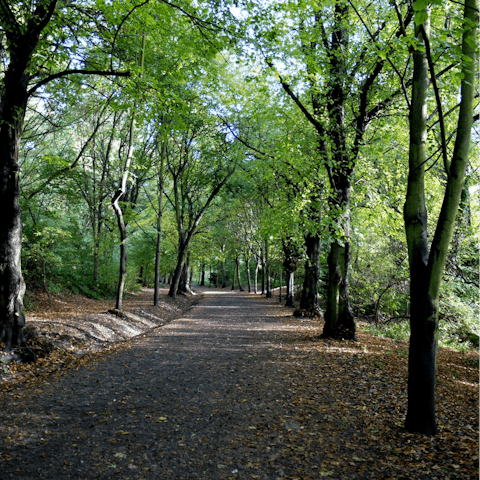 Take a stroll through Hampstead Heath, a twenty-minute walk away