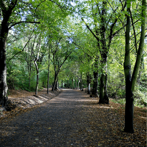 Take a stroll through Hampstead Heath, a twenty-minute walk away