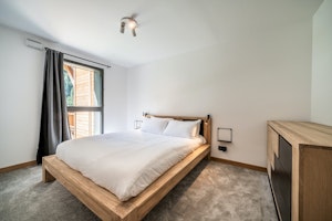 Alpine Mountain Retreat image 4