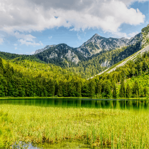 Spend a day at Frillensee Lake, a seventeen-minute drive away