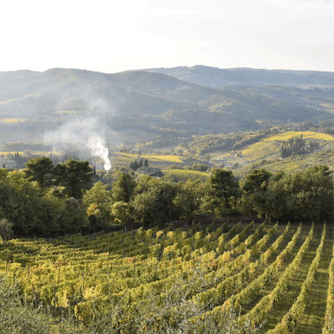 Explore the beautiful verdant landscapes of Monferrato 