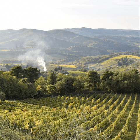 Explore the beautiful verdant landscapes of Monferrato 
