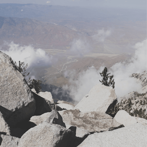 Hike to the peak of San Jacinto or catch the Aerial Tramway to the top