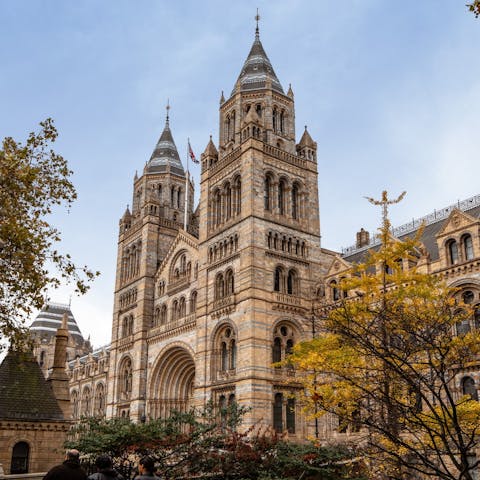 Spend an afternoon exploring South Kensington's museums – the Natural History Museum is a seventeen-minute walk away