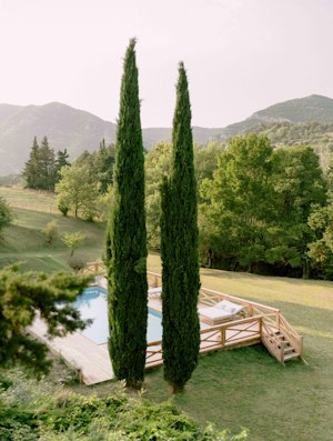 Valley Joy image 5