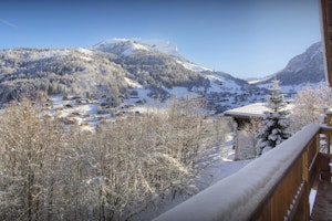 Cosy in the Alps image 9