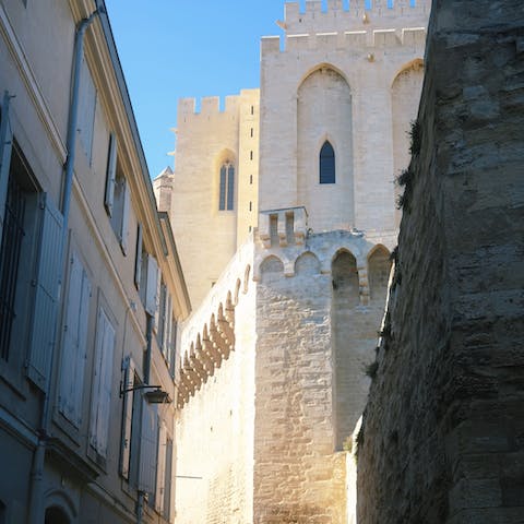 Take a day trip to the  historic town of Avignon